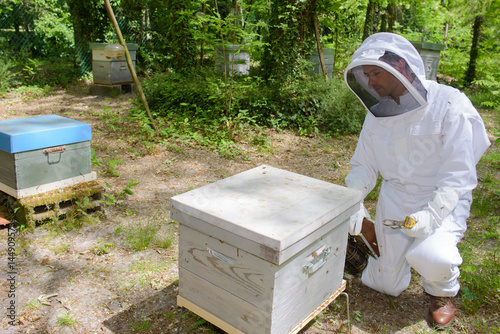 beekeeper and hives © auremar