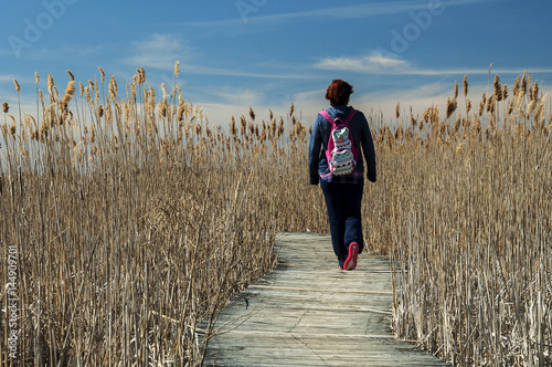Foto Hiking on a swamp / woman walking on a wooden walkway in Cape Cod