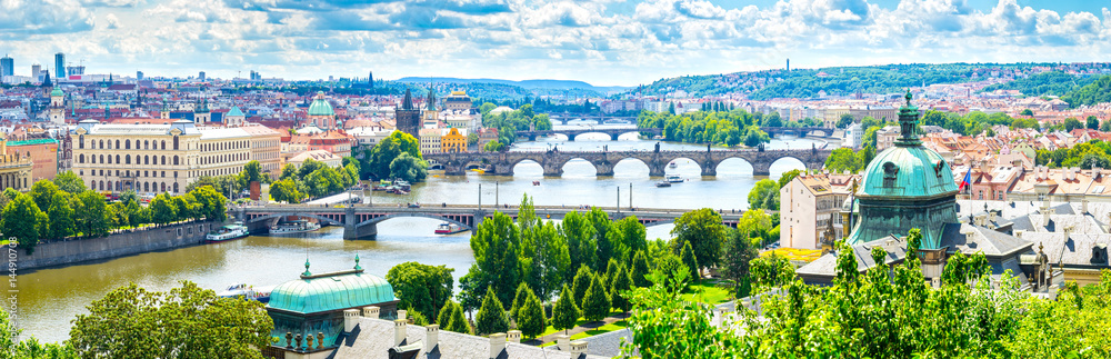 Bridges of Prague and the River Vltava  Czech Republic