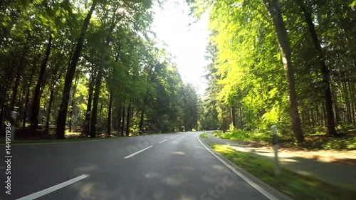 Drivers view On-Board-Camera (Germany, forest P.O.V.)