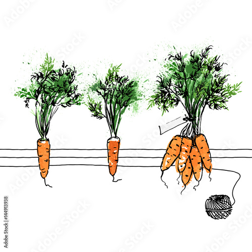 Watercolor carrots on white background. Hand-painted vector pattern
