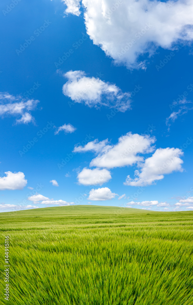 beautiful sunny day, farmland landscape in the springtime, calm day, endless field beautiful sunny day, farmland landscape in the springtime, calm day, endless field