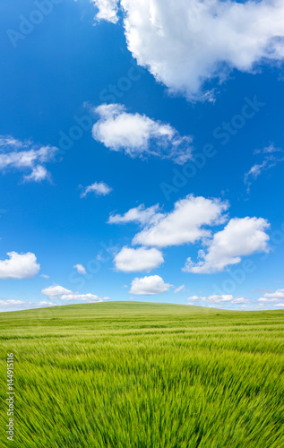 beautiful sunny day, farmland landscape in the springtime, calm day, endless field