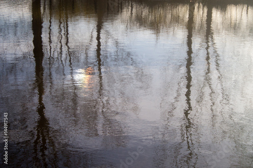 Water Reflection