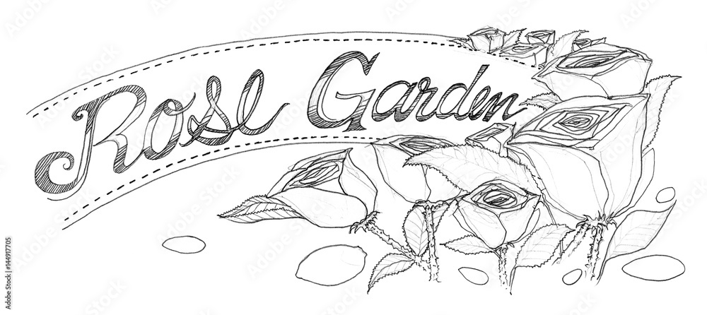 Flower rose sign hand drawing design
