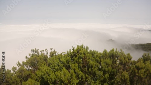 of a forest with mountains on Madeira photo