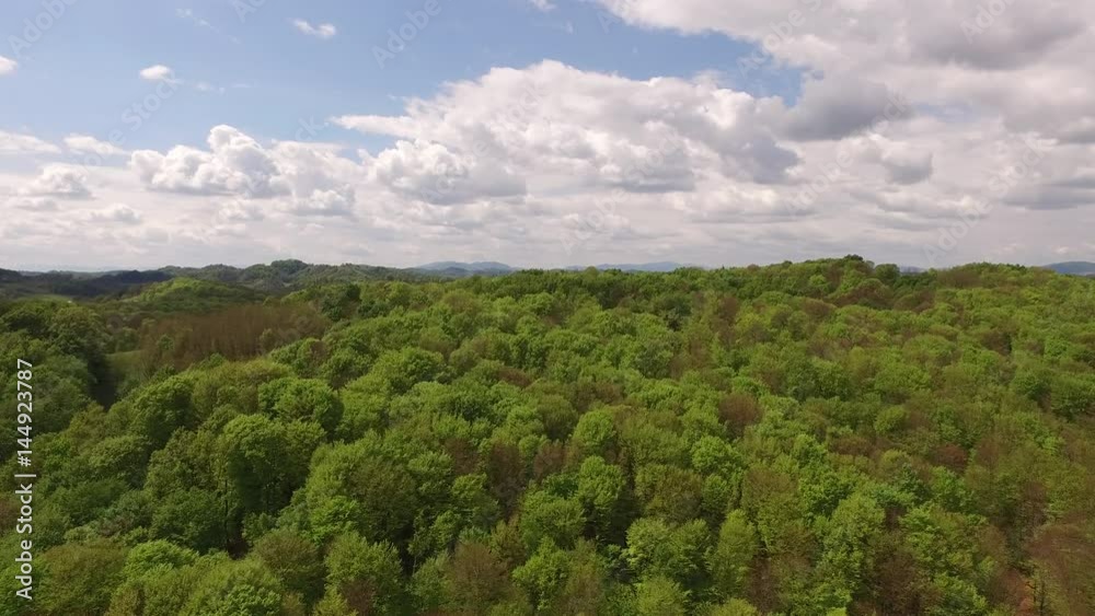 Aerial view of green forest with camera moving up and rotating Aerial view of green forest with camera moving up and rotating