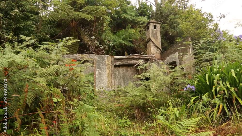 of a abandoned house in a forest. Semitropics, Madeira of a abandoned house in a forest. Semitropics, Madeira