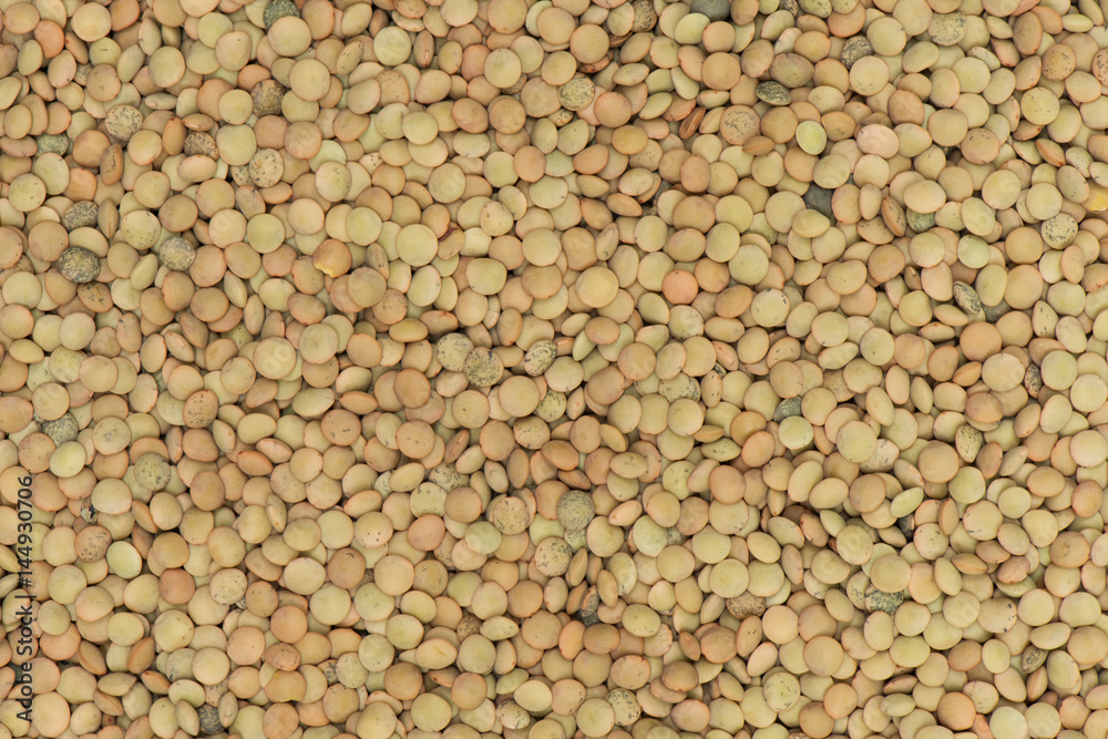 Legumes lentil organic background Legumes lentil organic background