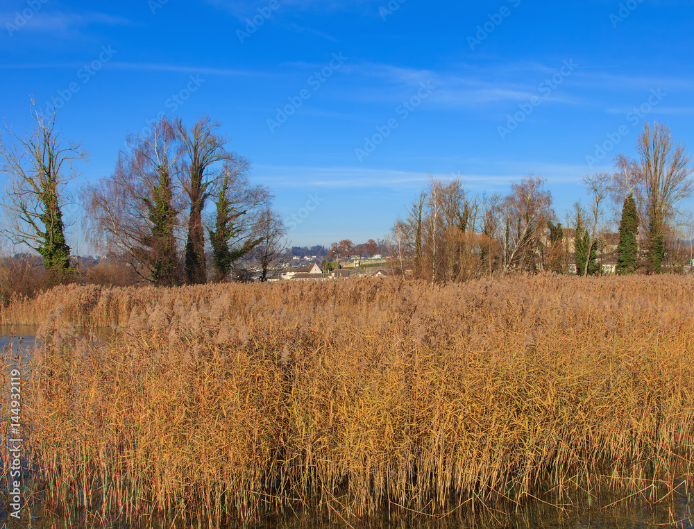 Lake Zurich in Switzerland at the very end of autumn, buildings of the town of Rapperswil in the background Lake Zurich in Switzerland at the very end of autumn, buildings of the town of Rapperswil in the background