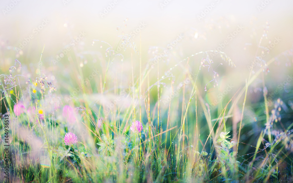 Abstract image of meadow