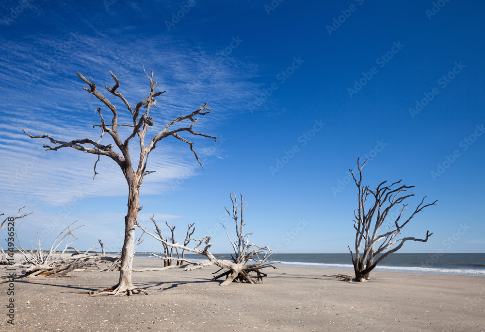 Botany Bay beach