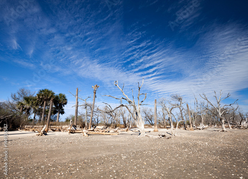 Botany Bay beach photo