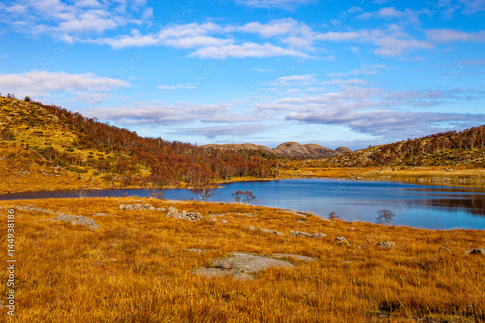 Fototapeta Krajobraz wokół Dalsnuten w Rogaland w Norwegii.