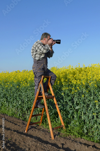 Photographer taking pictures of rapeseed field from ladder, canola field in spring