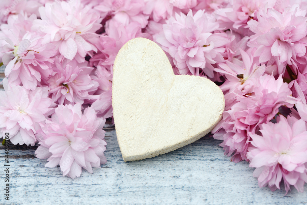 cherry flowers with white heart on wood cherry flowers with white heart on wood