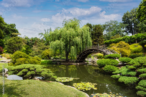 Ancient Japanese bridge garden