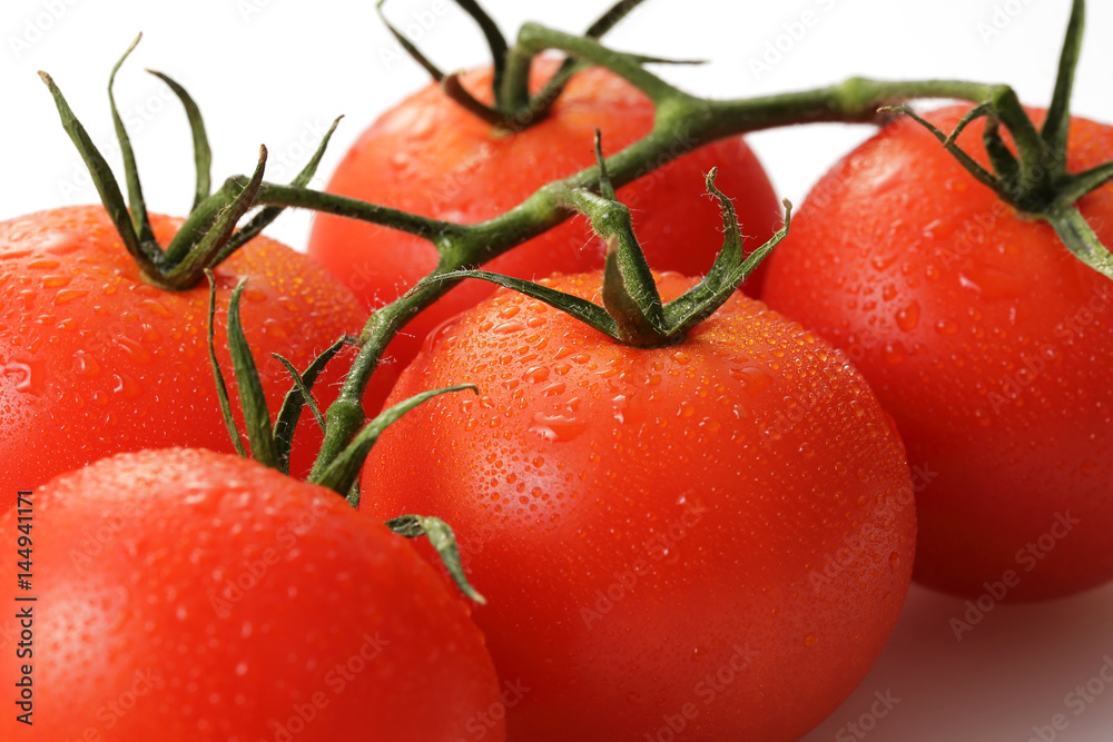 トマト Tomato トマト Tomato