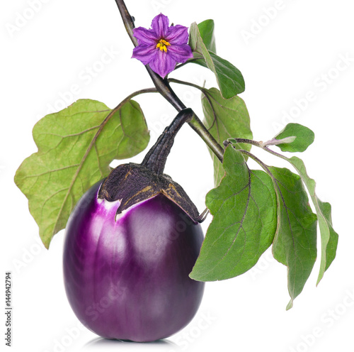 Fresh purple aubergine