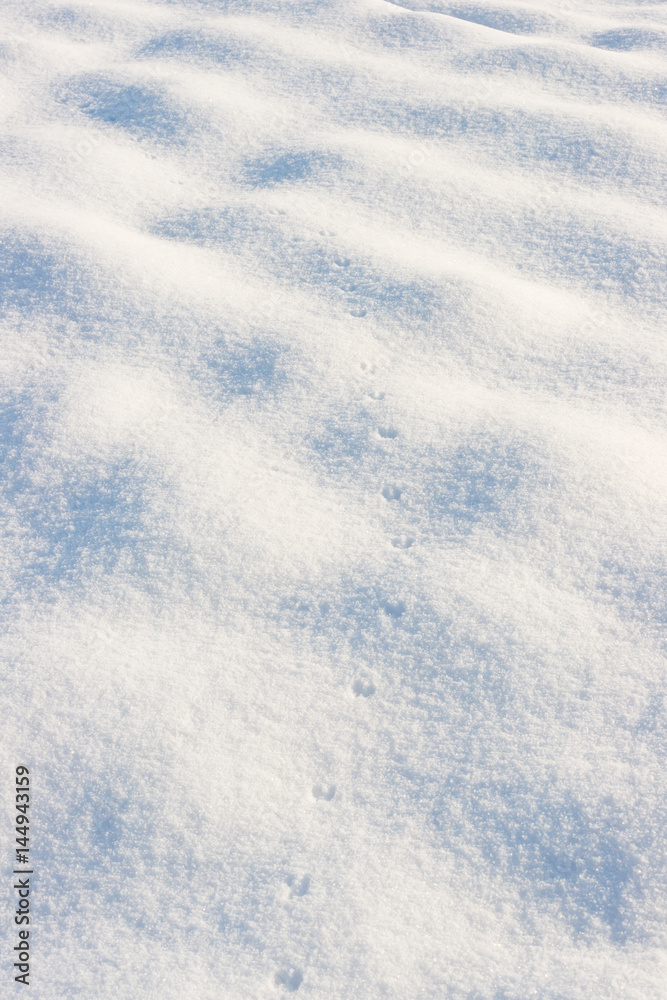 Fox tracks in the snow in the sunshine