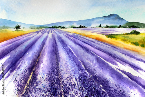 Handwork watercolor illustration. Provence France. .Landscape with lavender.