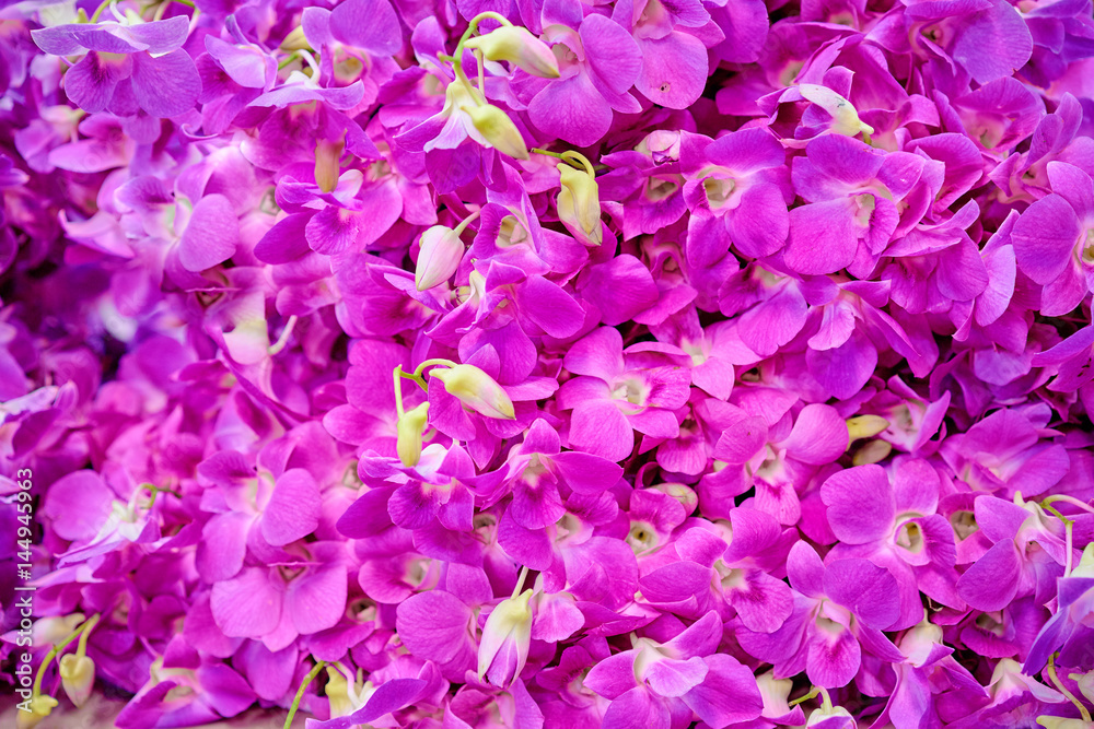 Blossom tropical background. Orchid flowers pattern. Blossom tropical background. Orchid flowers pattern.