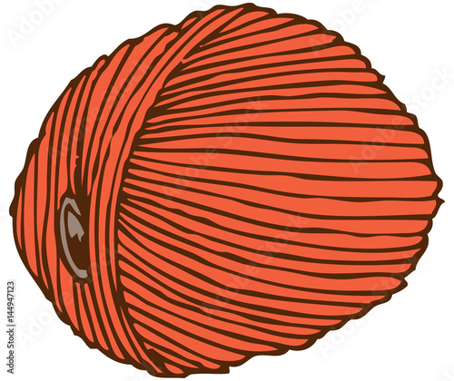 Orange Hank of Yarn