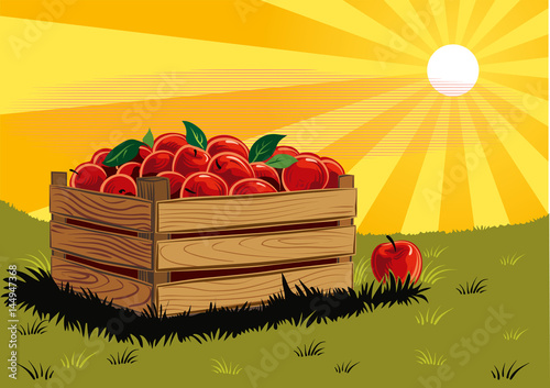 Crate of ripe apples; resting on a lawn.