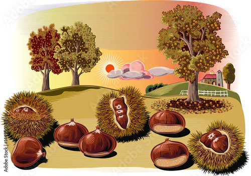 Some urchins of chestnuts in a chestnut.