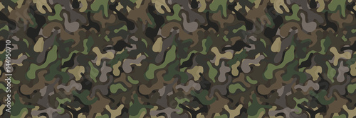 seamless military camouflage vector background pattern in natural colors