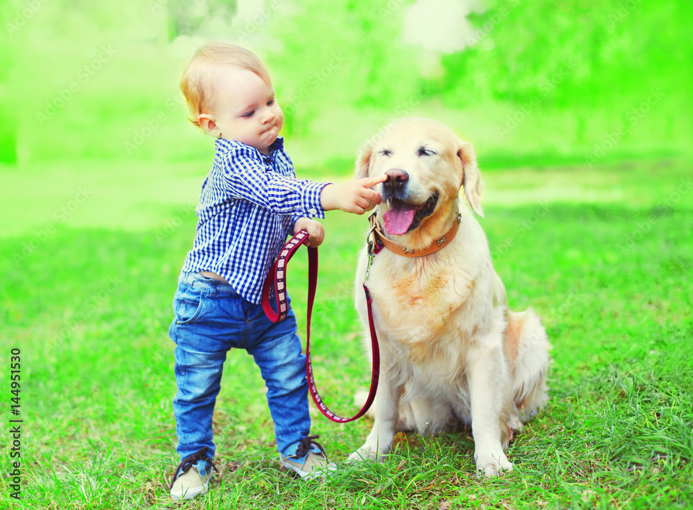 Little boy child is playing with Golden Retriever dog on the grass on a summer park Little boy child is playing with Golden Retriever dog on the grass on a summer park