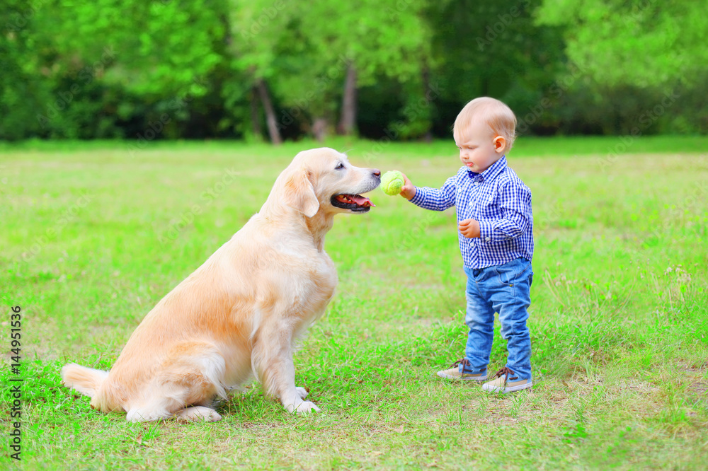 Little child with Labrador retriever dog is playing together with a ball in the sumer park Little child with Labrador retriever dog is playing together with a ball in the sumer park