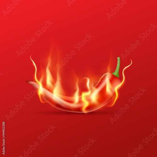 Red hot chili pepper with flame on a red background. Hot and spi
