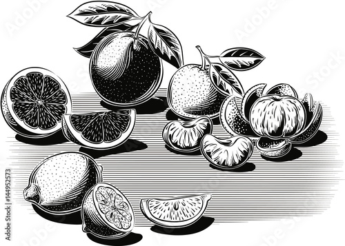Citrus fruits: oranges, tangerines and lemons on a white background.