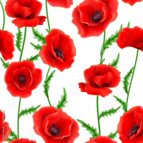 Seamless pattern with red poppy flowers