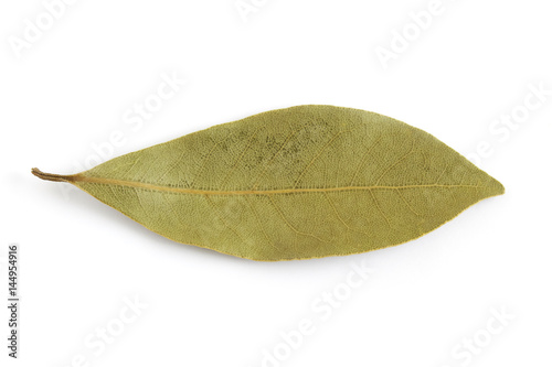 One dry bay leaf (Laurus nobilis) isolated on white background. Top view © nedim_b