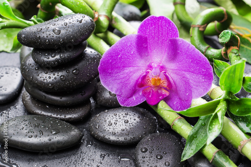 Spa concept with zen stones  orchid flower and bamboo