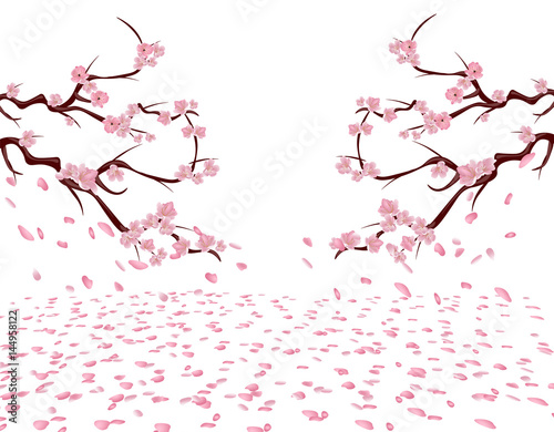 The branches of a blooming pink cherry on both sides of the picture. Sakura. The petals fly in the wind and lie on the ground. Isolated on white background. illustration