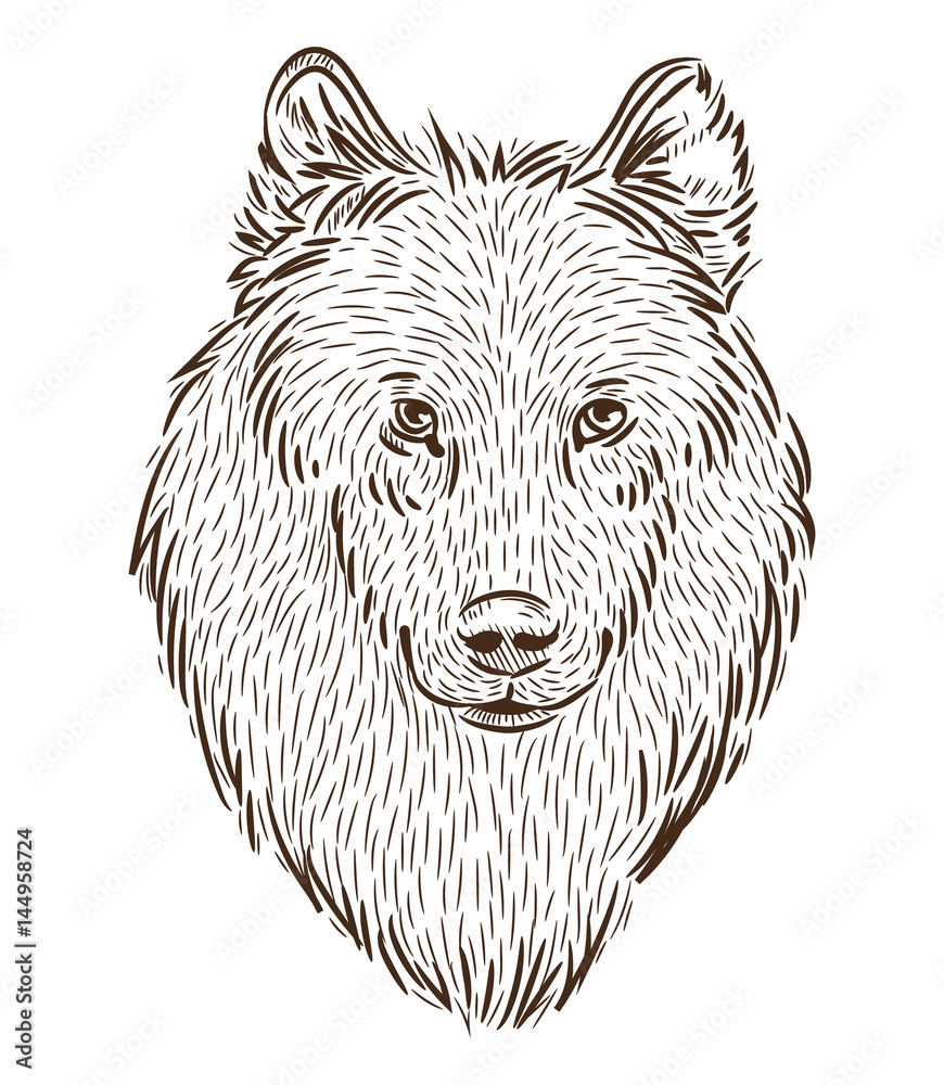 a wolf portrait in the style of circuit board drawing | Stable Diffusion