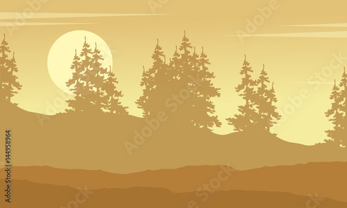 Collection of spruce forest silhouette