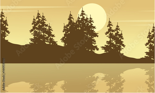 Silhouette of spruce with lake scenery