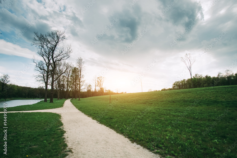 Footpath in the park