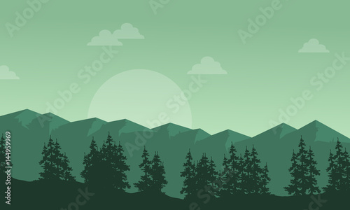 Silhouette of mountain with spruce scenery