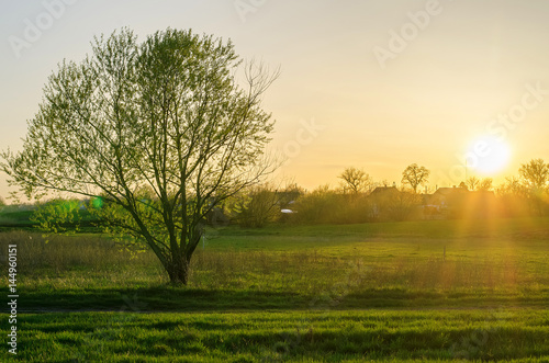 Spring sunset, rural landscape.