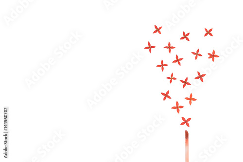 Lip gloss and red ixora flowers isolated on white background with copy space