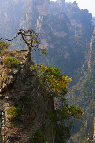 Mountain landscape of Zhangjiajie  a national park in China