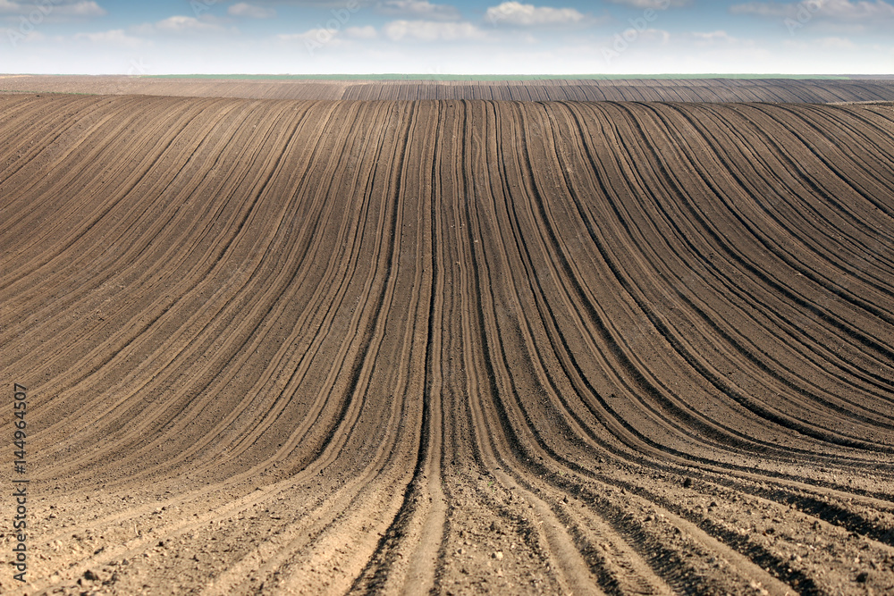 Naklejka premium plowed field country landscape spring season