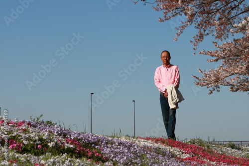 芝桜 シニア