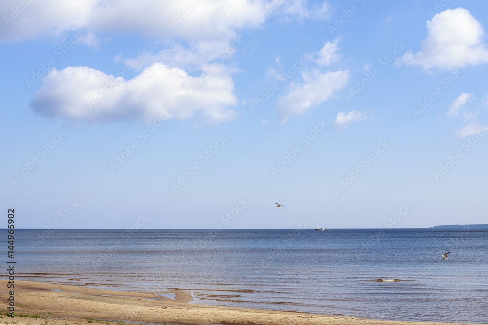 Seaview, a small ripple, the ship on the horizon, blue sky with white clouds and seagulls.