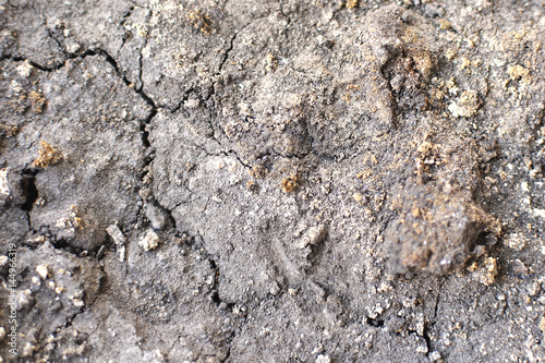 Background texture of dry soil with cracks